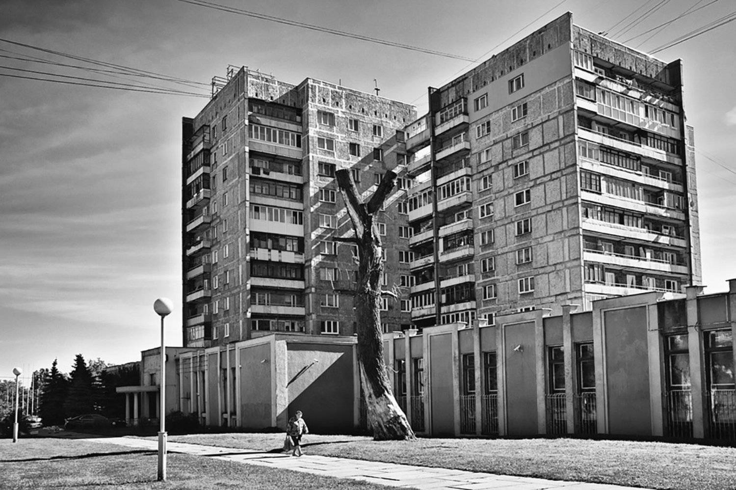 , Геннадий Новов