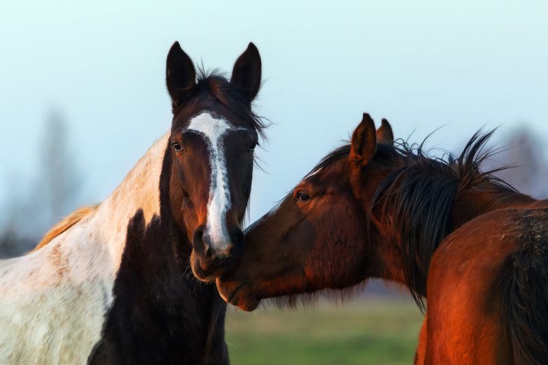 Про любовь фото превью
