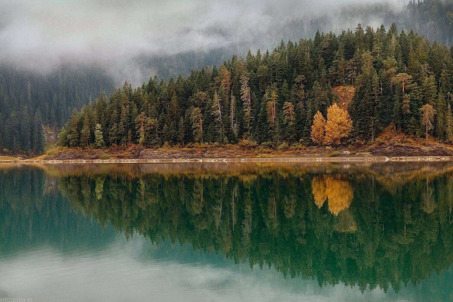 природа, черногория, путешествие, пейзаж,лес, национальный парк, travel, nature, landscape, traveller, dawn, montenegro, Анастасия Колесникова