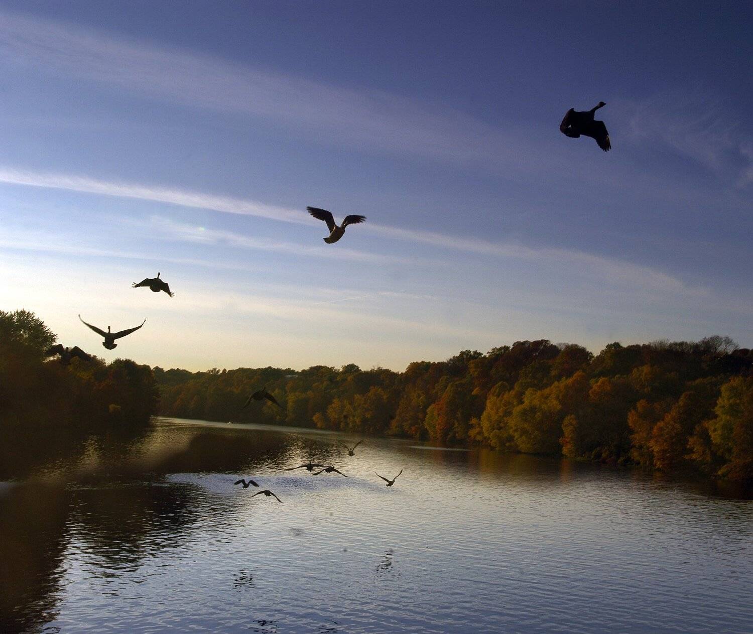 перспектива у воды, isamonov