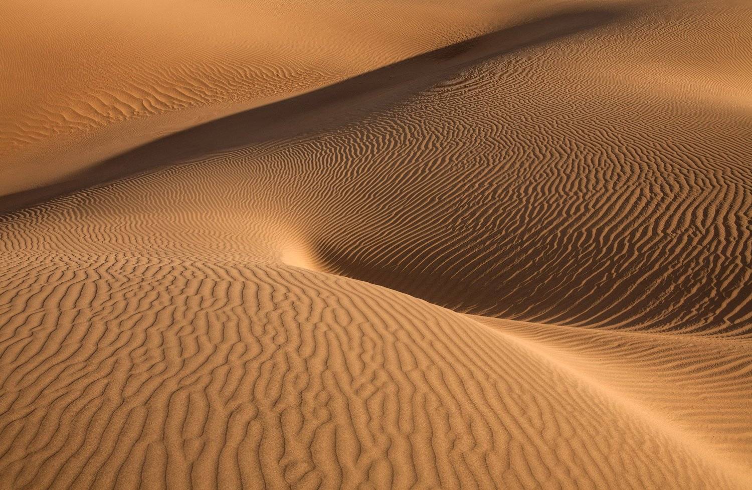 пустыня, песок, фактура, дюны, mesquite flat sand dunes, долина смерти, изгибы, формы, фантазия, антон селезнев, Антон Селезнев
