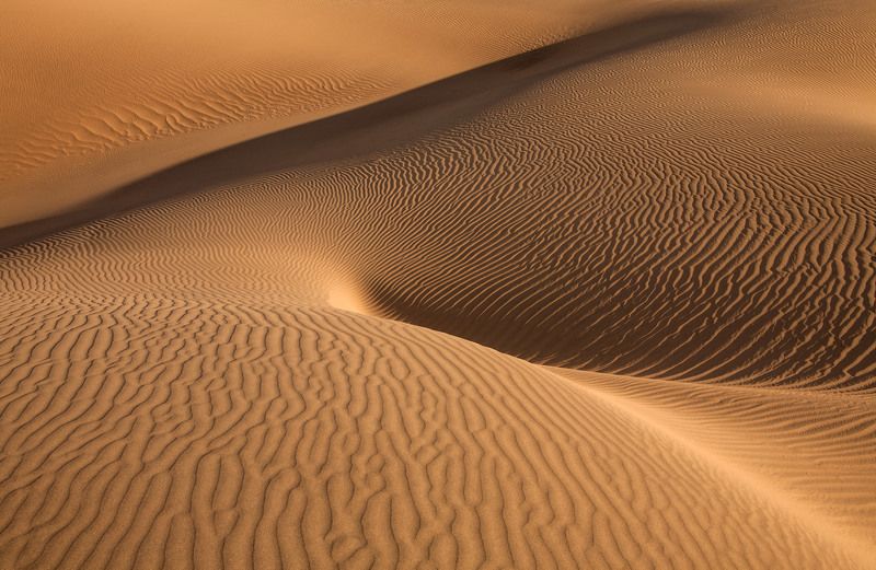 пустыня, песок, фактура, дюны, mesquite flat sand dunes, долина смерти, изгибы, формы, фантазия, антон селезнев Нежные изгибы фото превью