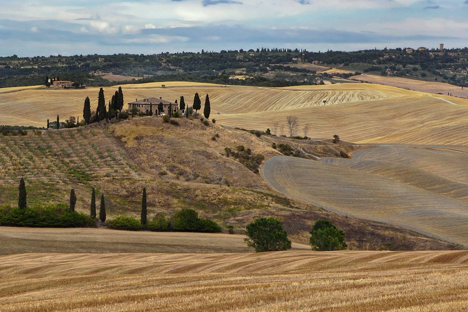 , Игорь Дубровский