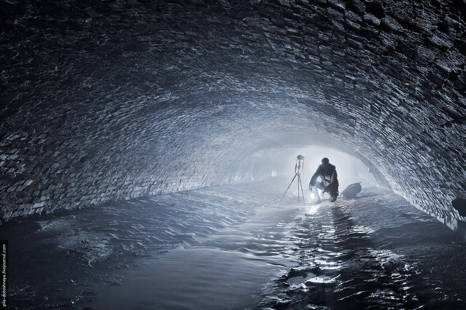 , Анна Аринова