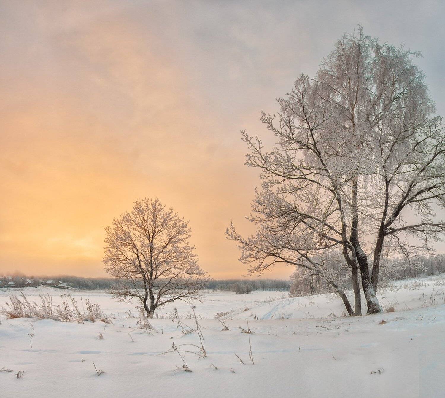 , Николай Андреев