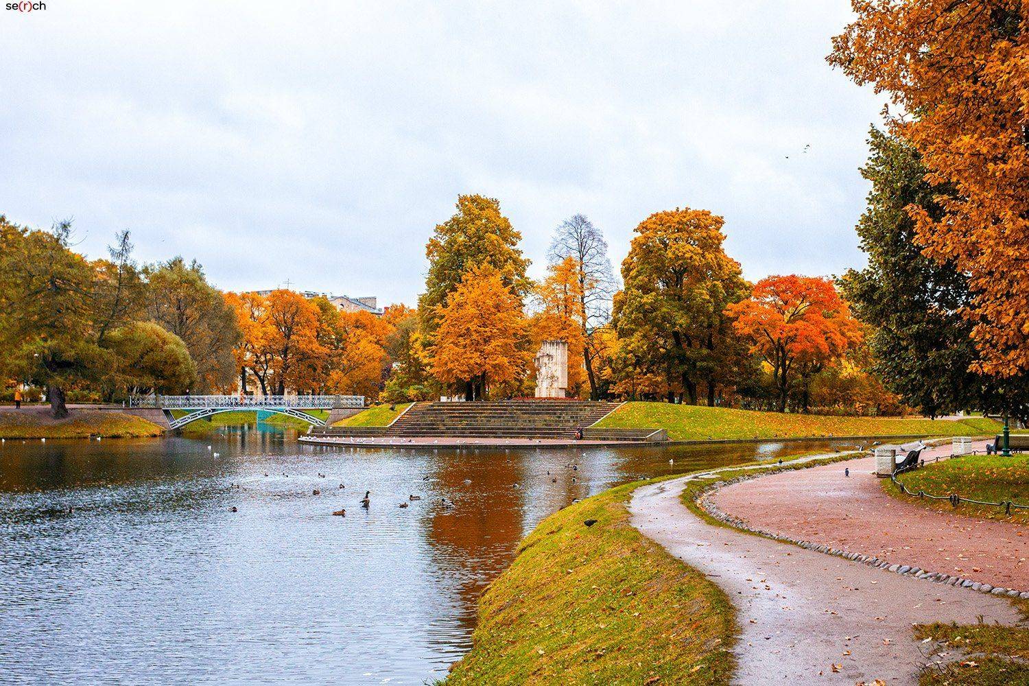 санкт-петербург, осень, парк, сад, деревья, золотая, листва, вода, мост, Серш Сергей