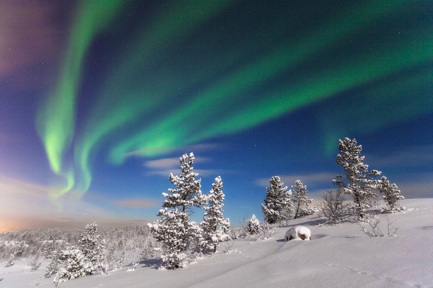 полнолуние сияние, Daemus