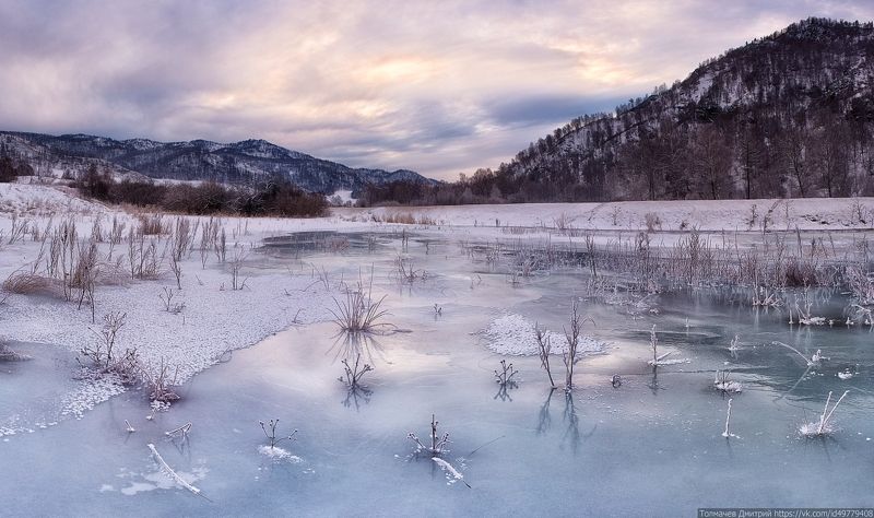 про замерзшее болотце... фото превью