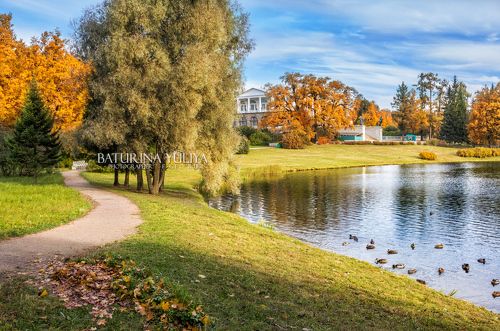 Утиное раздолье