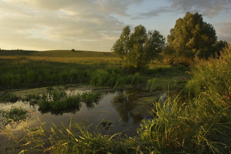 пейзаж лето река закат Вечер на речке фото превью