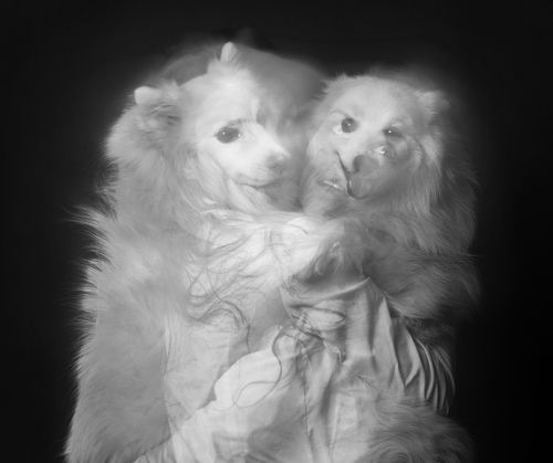 Кристинокаспер 