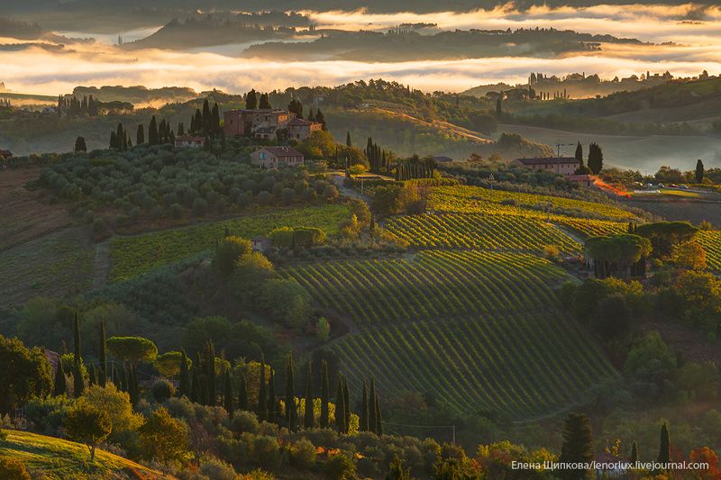 Утро в Сан-Джиминьяно фото превью