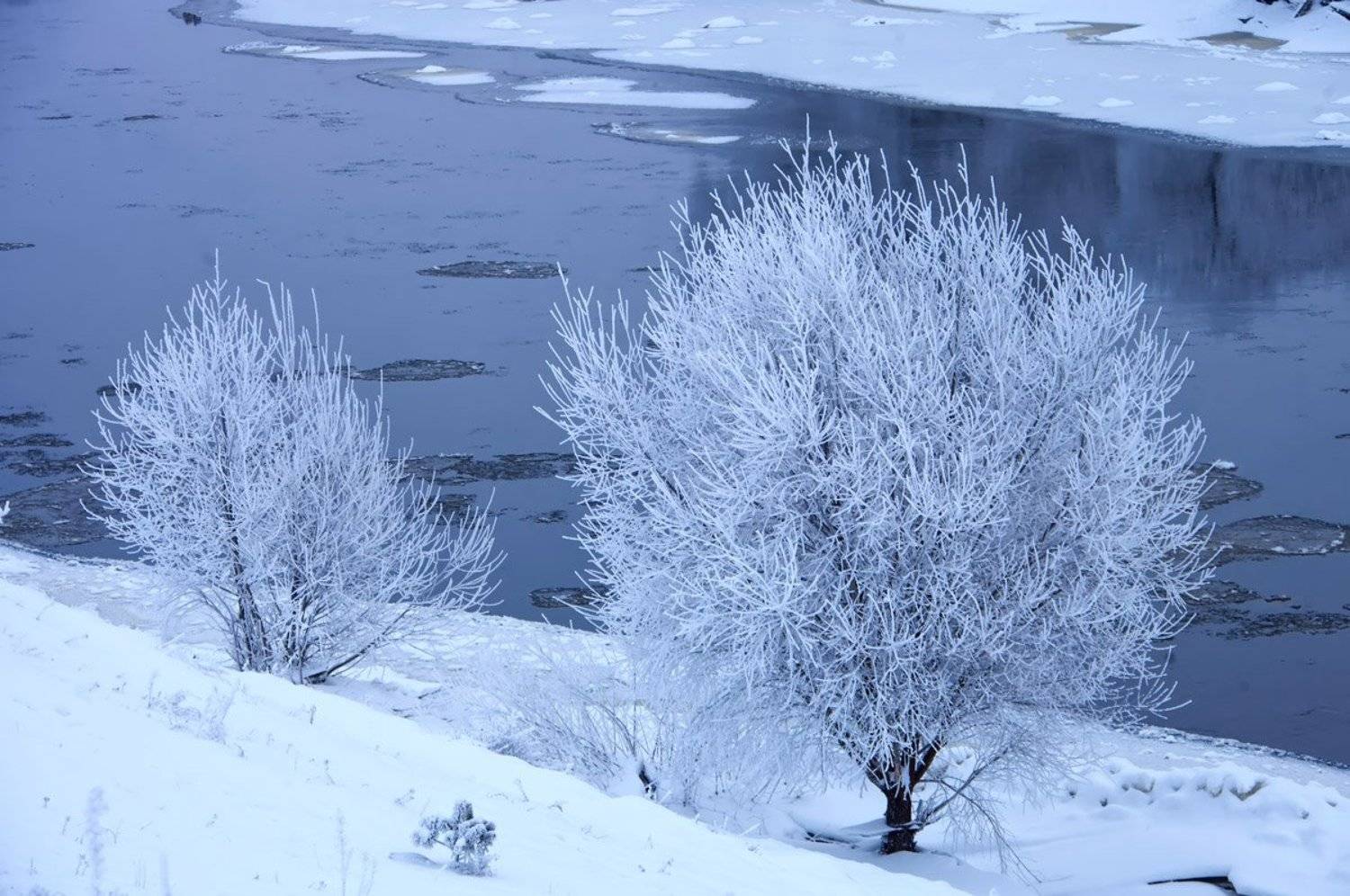 , Валерий Кондратов