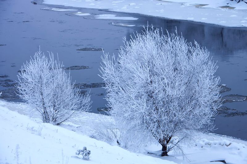 *** фото превью