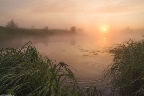 Солнышко встает.