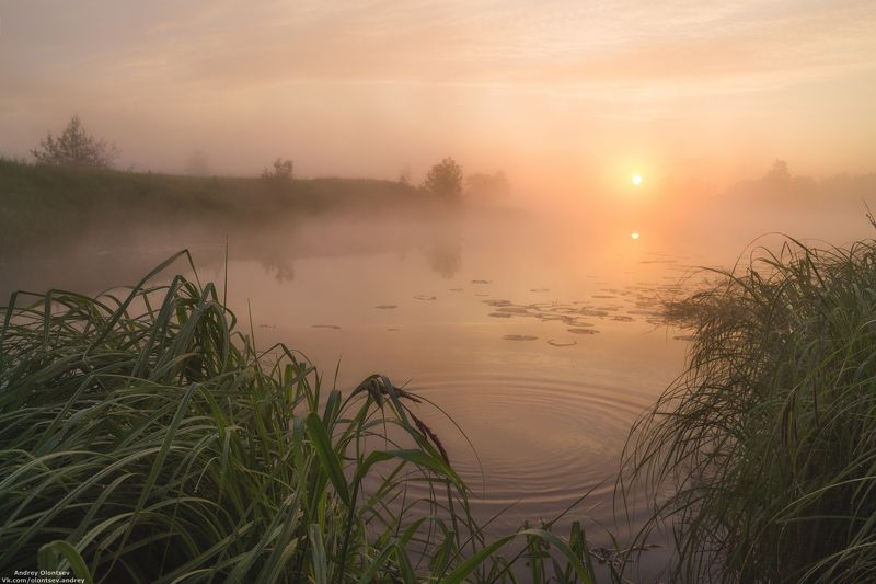 Солнышко встает. фото превью