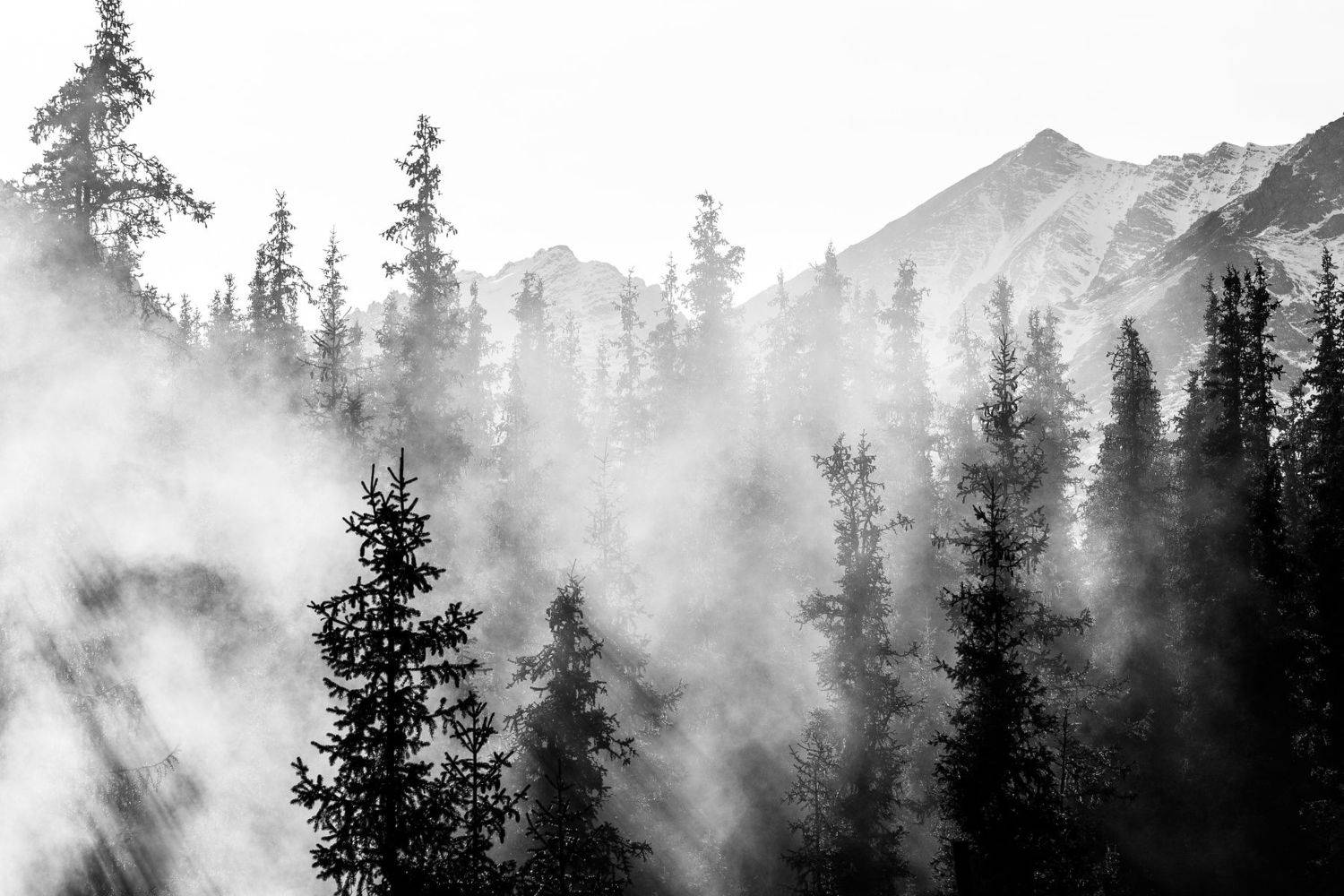 , Василий Шумкин