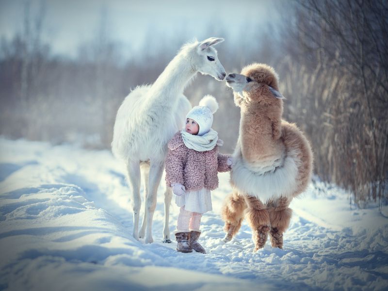 ЗИМНЯЯ СКАЗКА фото превью