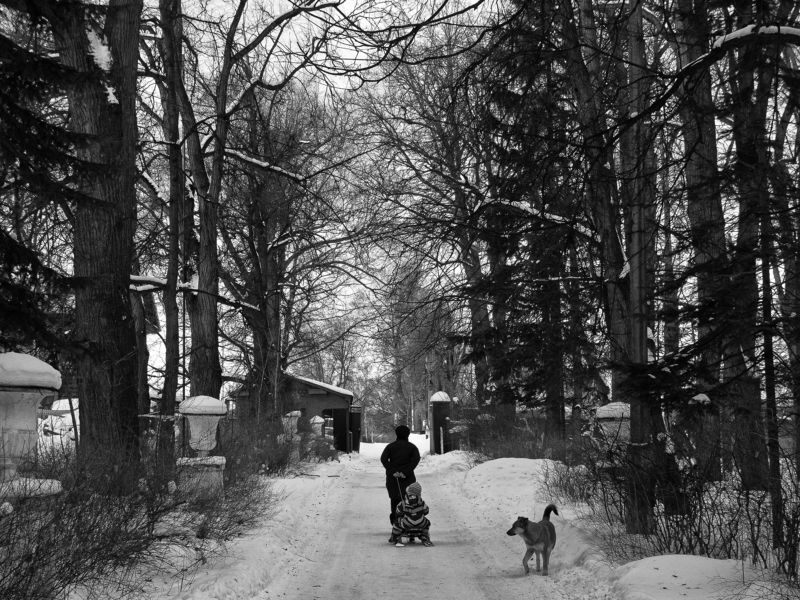 Road, Winter, Child, Black and white, Monochrome, Street, Bykovo, Russia An easy way home фото превью