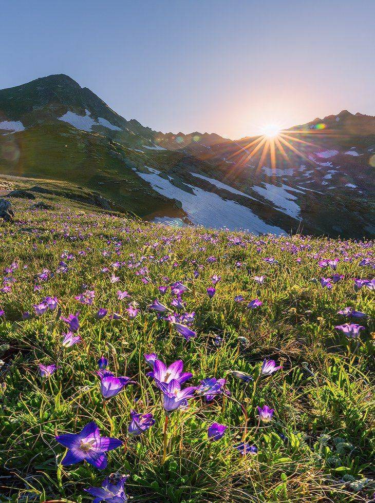 кчр пхия пятиозерье лето, Николай Мысливцев