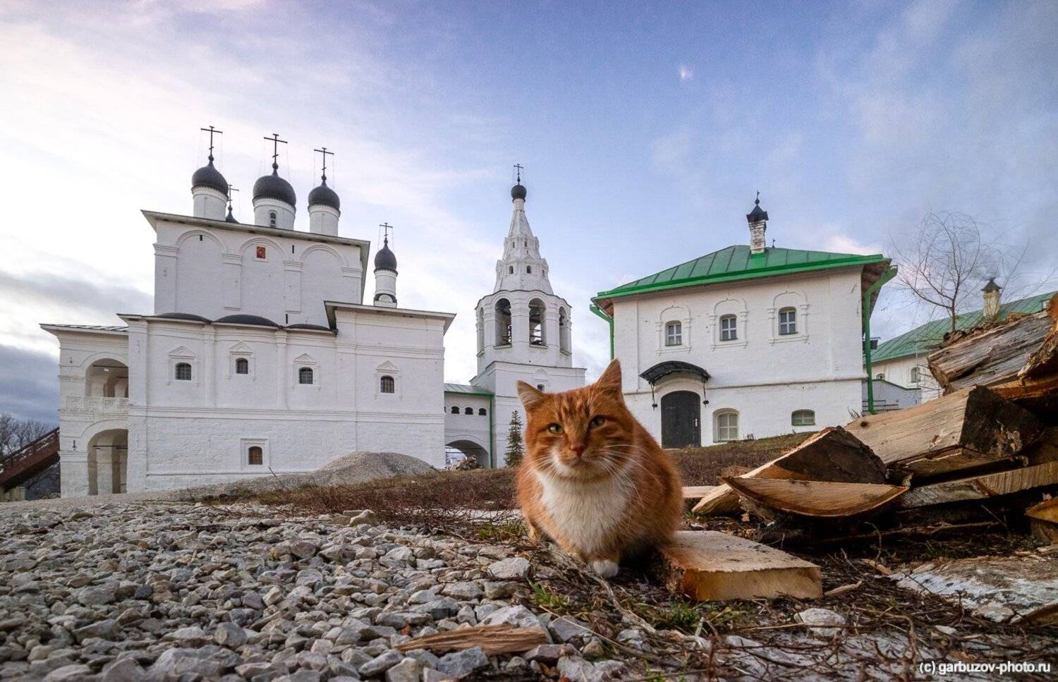 , Гарбузов Илья