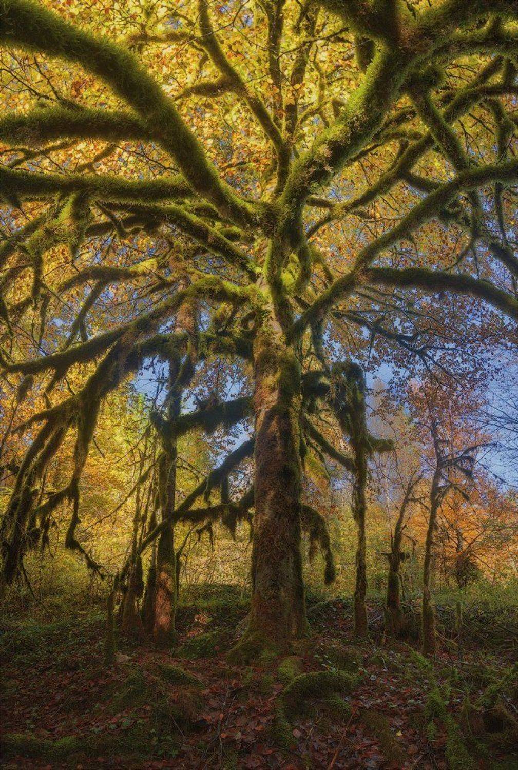 france, jura, Alex Yurko