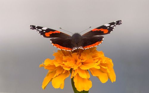 Я ухожу :-)) Минимализм