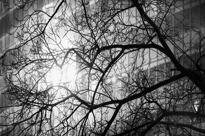... фото превью