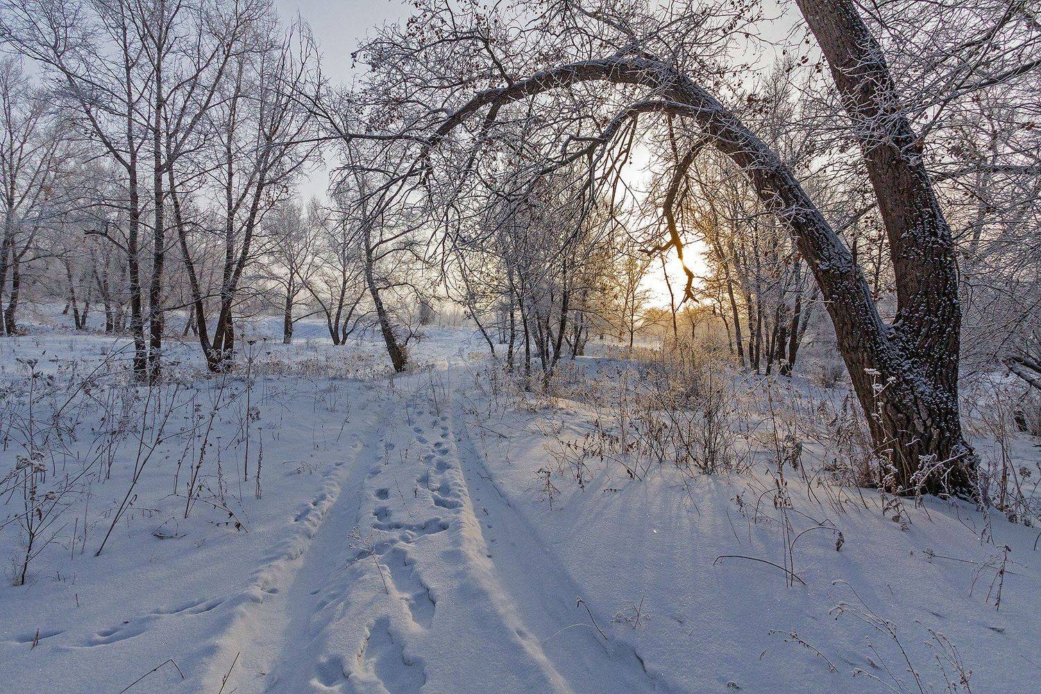 орск оренбургская обл. качурин новотроицк южный урал, Качурин Алексей