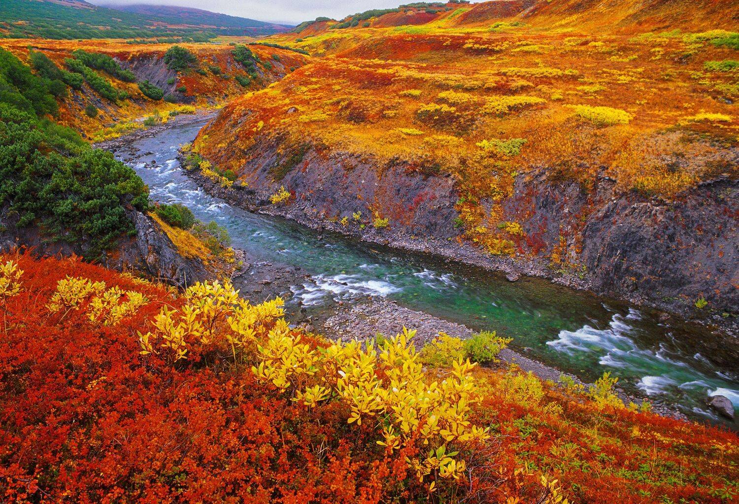 Фототуры с Владимиром Рябковым, Корякия, Камчатка., Владимир Рябков