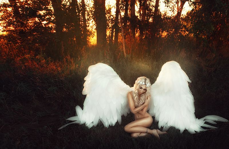 -guide to the sky- фото превью