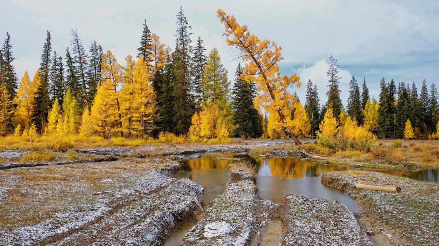 , Ольга Челдыкова