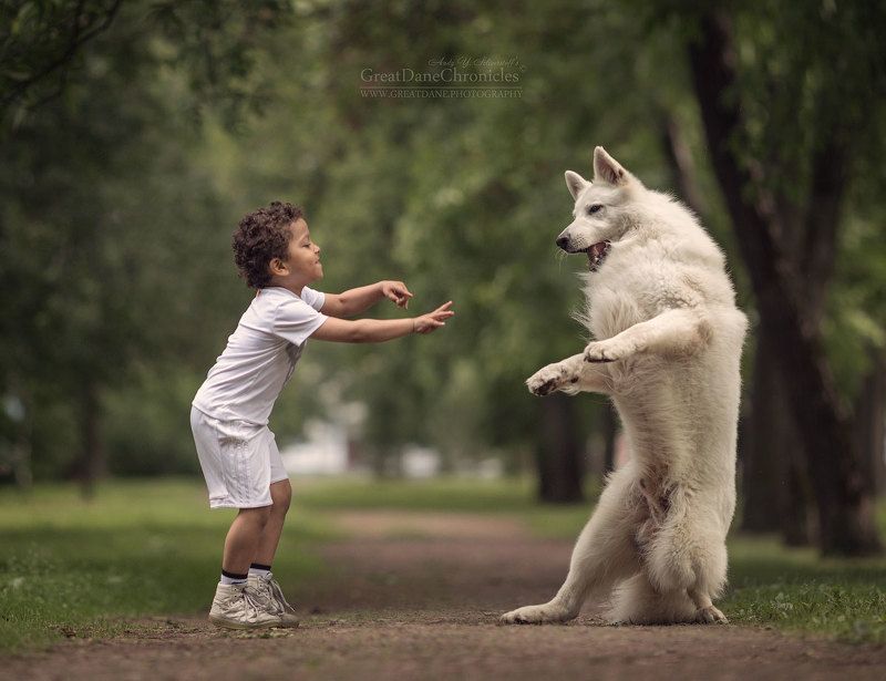 Dance With Me фото превью