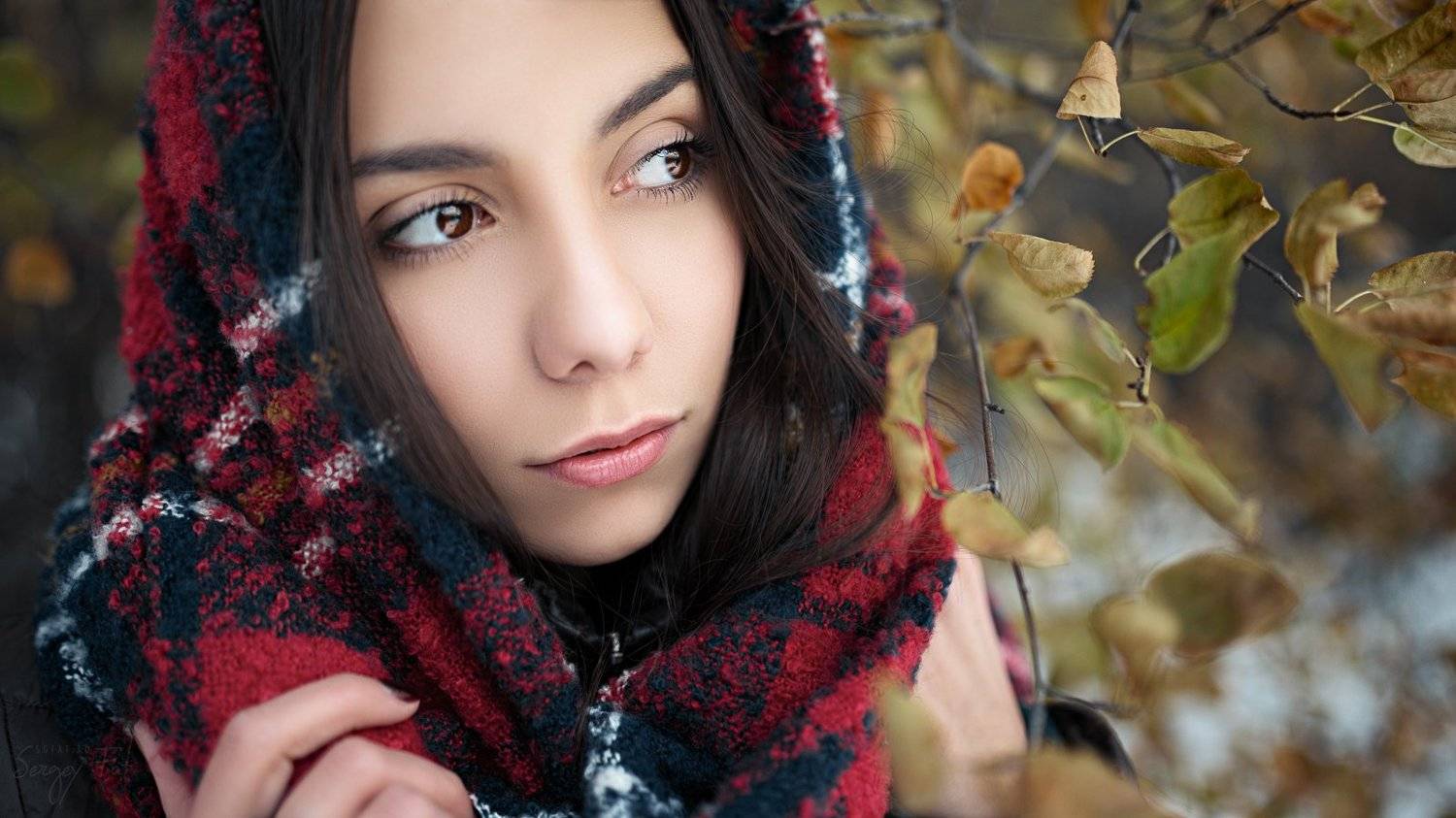 Darya. Автор: Сергей Жирнов , Сергей Жирнов