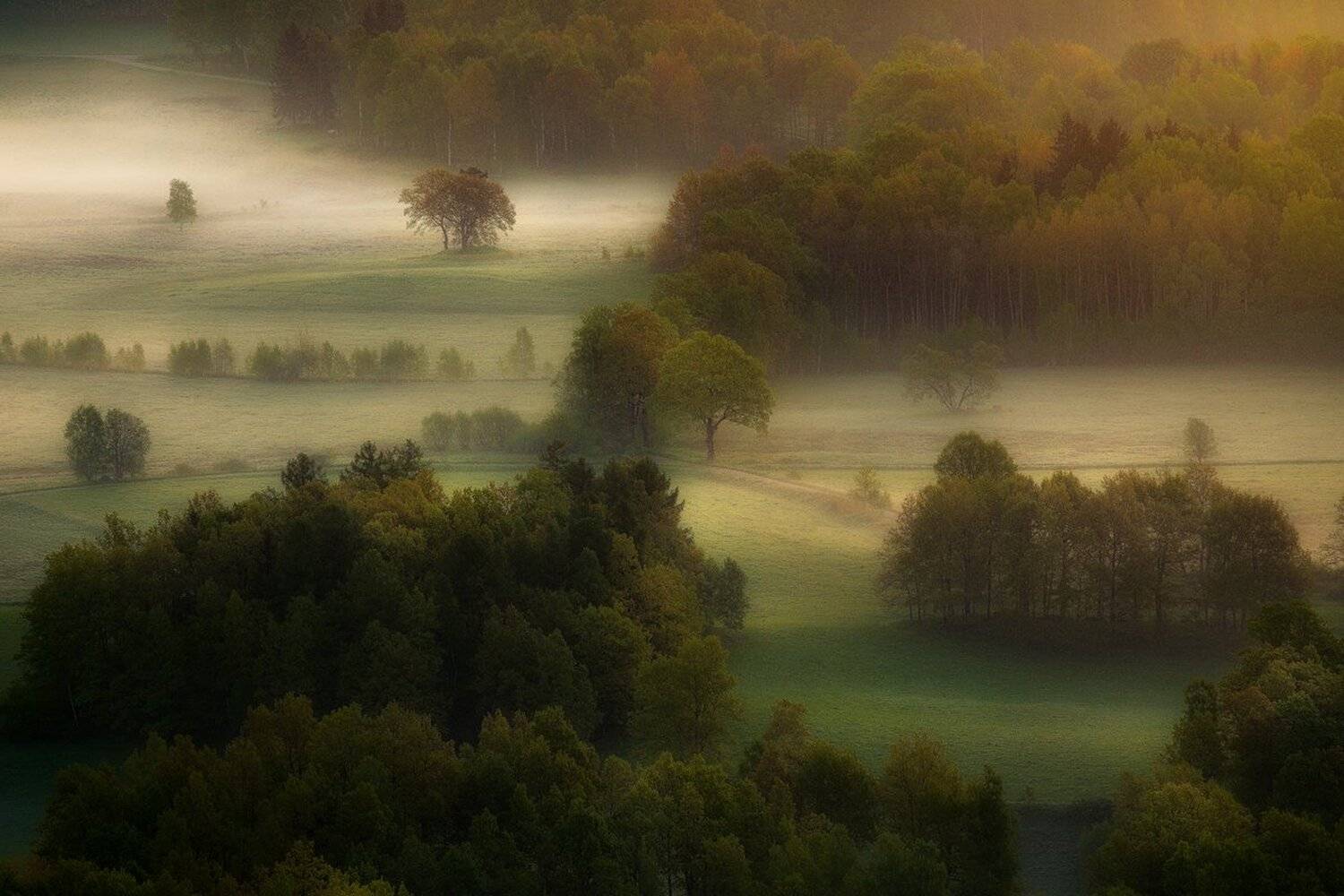 landscape,canon,light,spring, Iza i Darek Mitręga