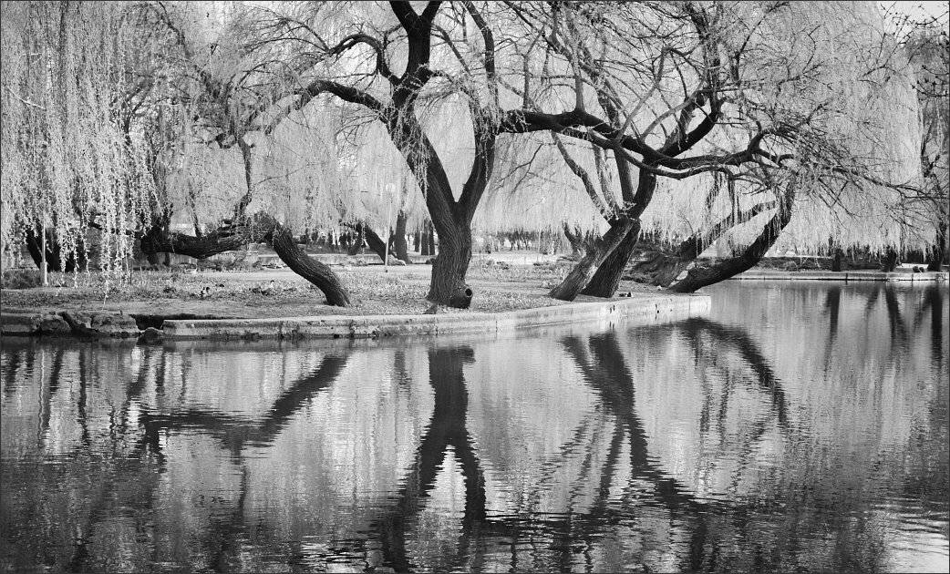 , Сергей Фудиненко