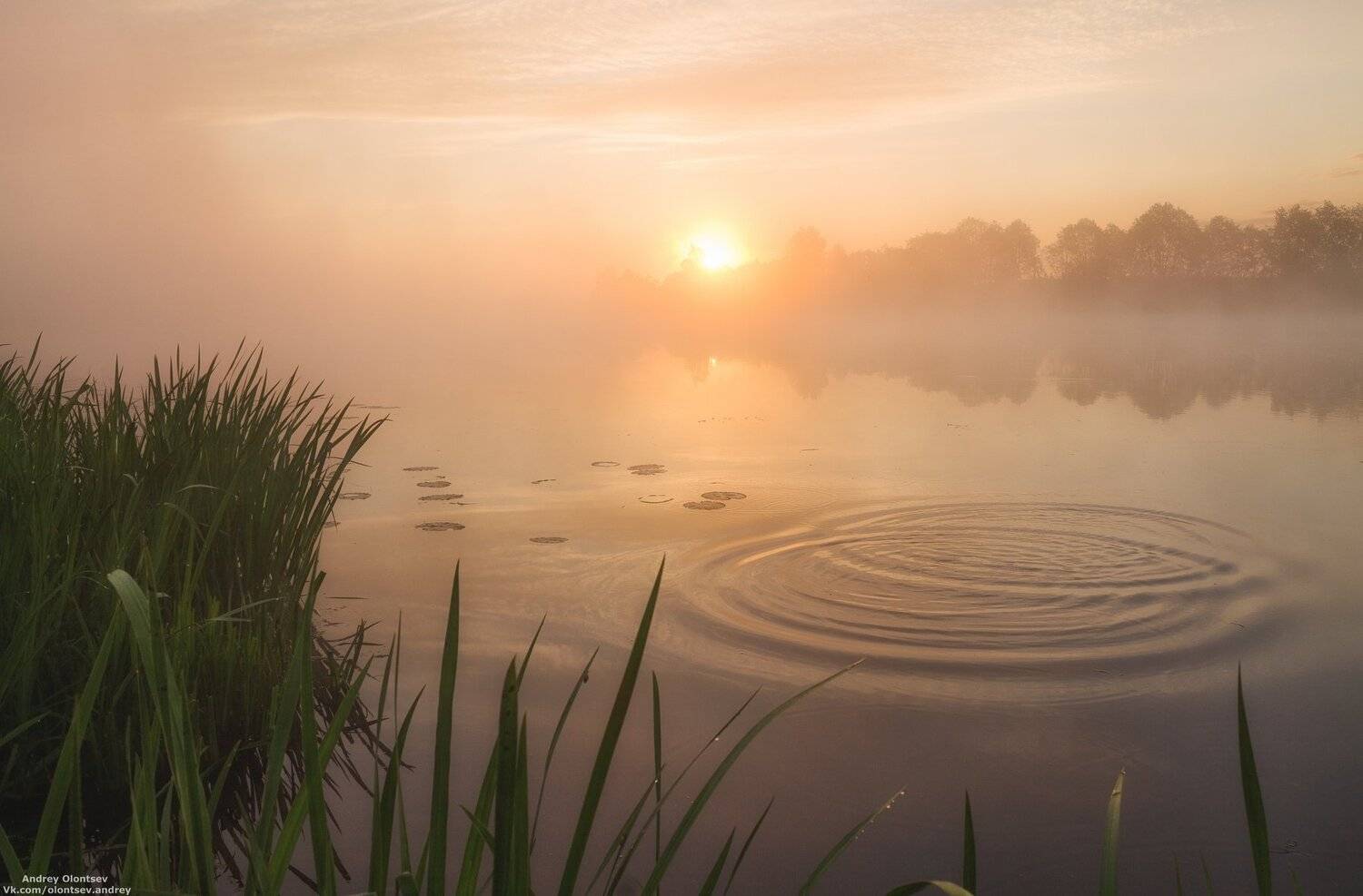 дубна, наукоград, подмосковье, россия, пейзаж, пейзажи, вода, солнце, отражение, рассвет, красота, природа, весна, погода, canon dubna, naukograd, moscow, russia, landscape, water, sun, reflection, dawn, beauty, nature, spring, weather, Андрей Олонцев