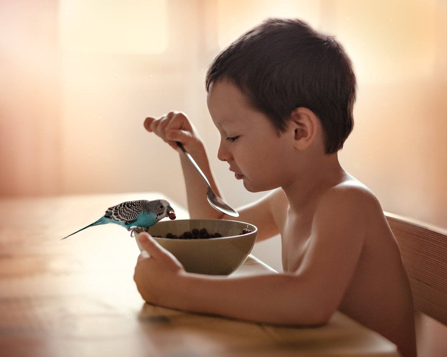 , Екатерина Домбругова