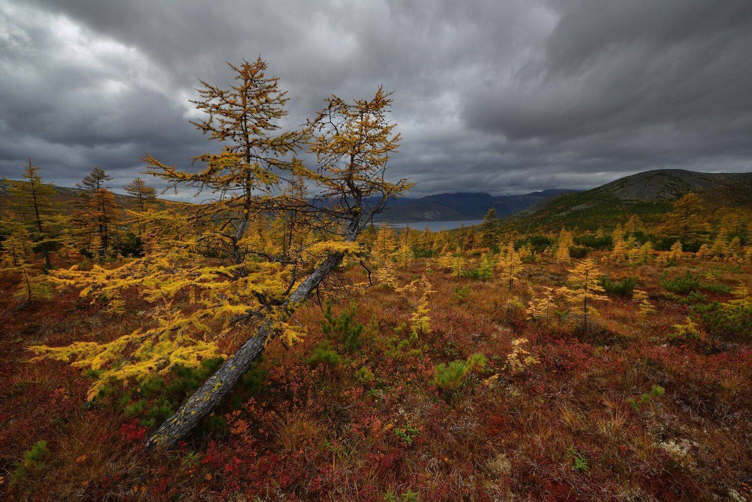 , Максим Евдокимов (phototourtravel.ru)