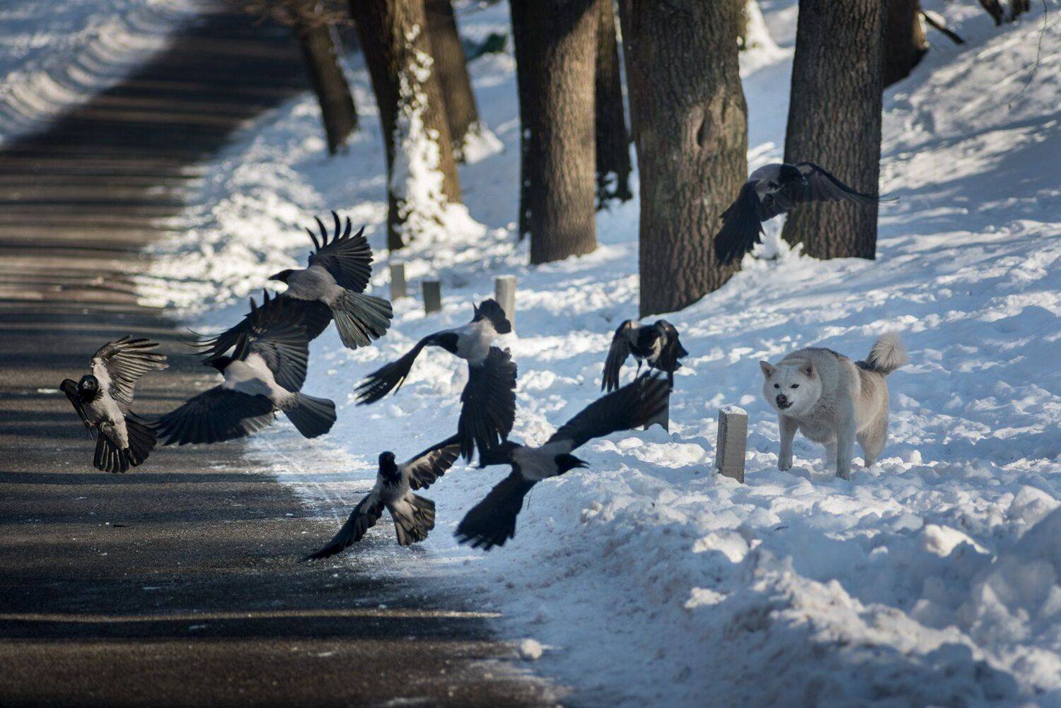 , Юрий Юрьев