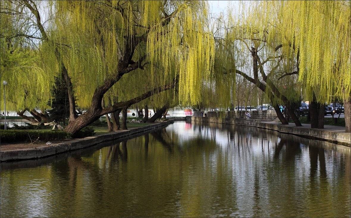 , Сергей Фудиненко