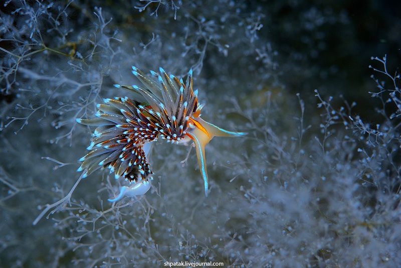 UW Photo Challenge 2018. То что я посылал, но не прошло.((( фото превью