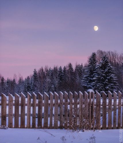 Behind the fence