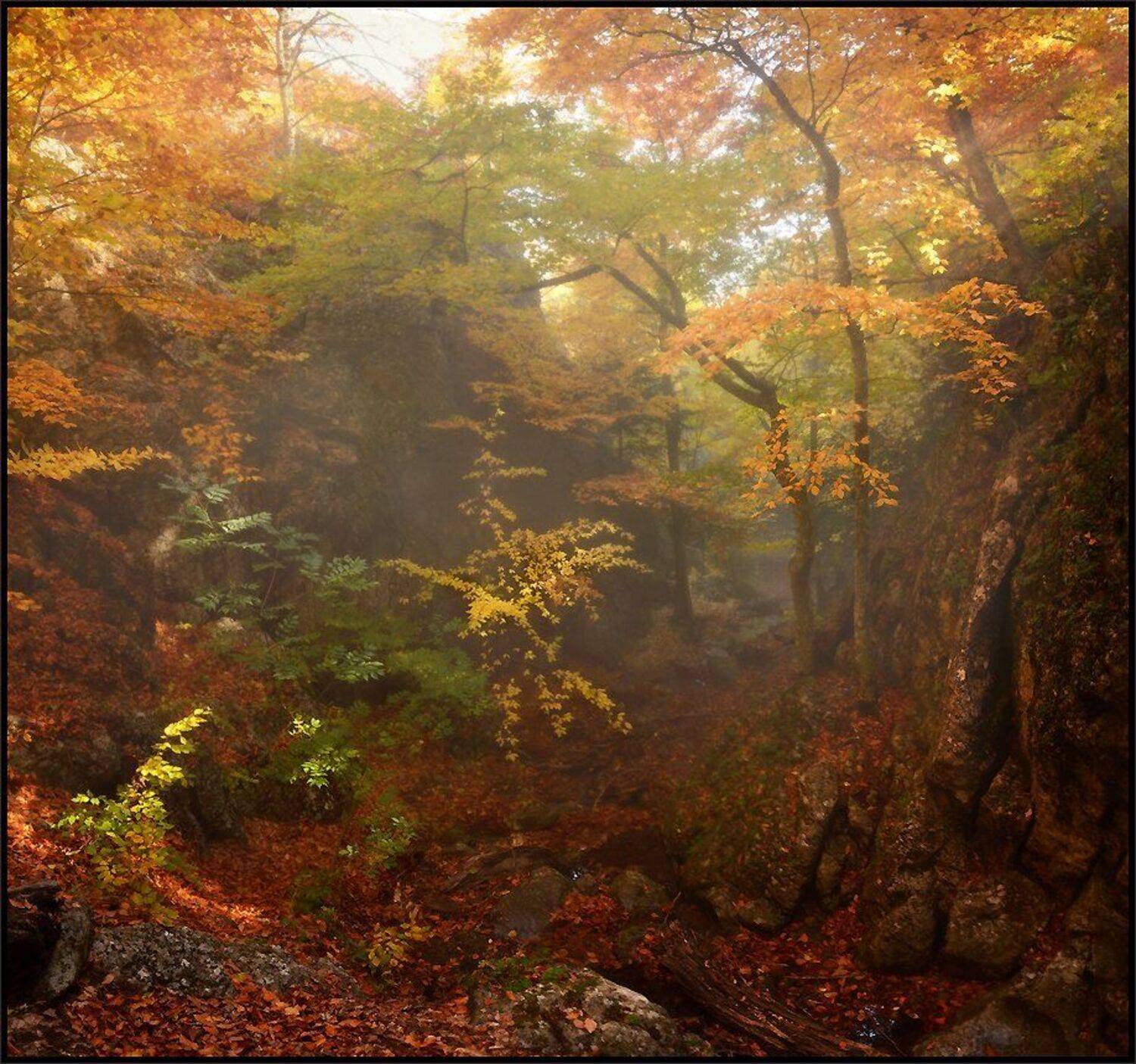 , Владимир Метцгер