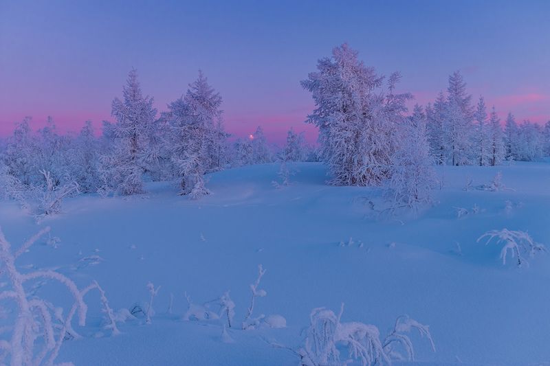 ямал , зима , природа, салехард , январь,  ямал ,север \