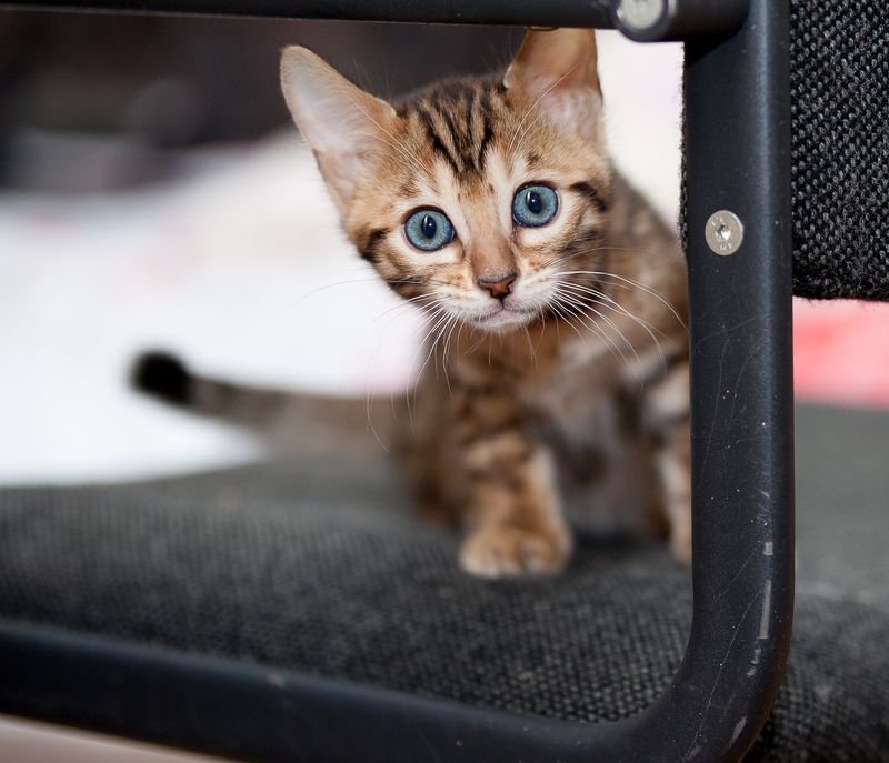 mr.filler  фото превью