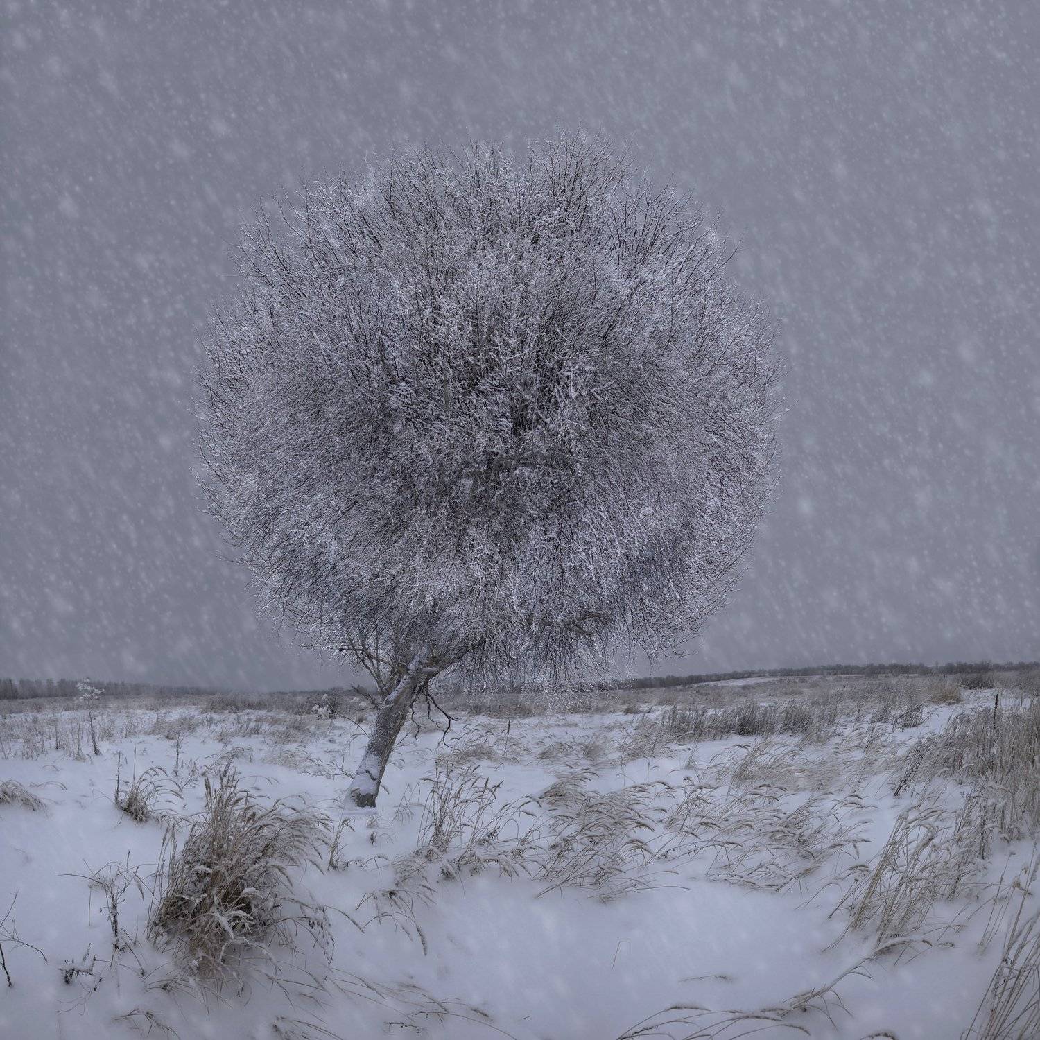 , Виктор Кириллов