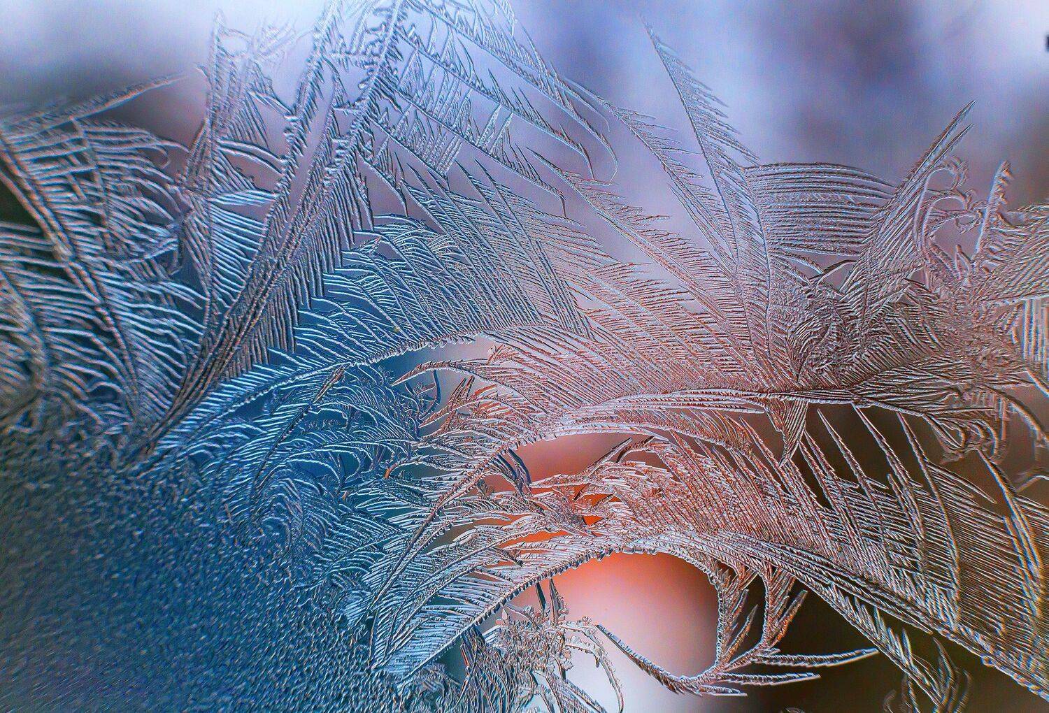 , Павел Сагайдак