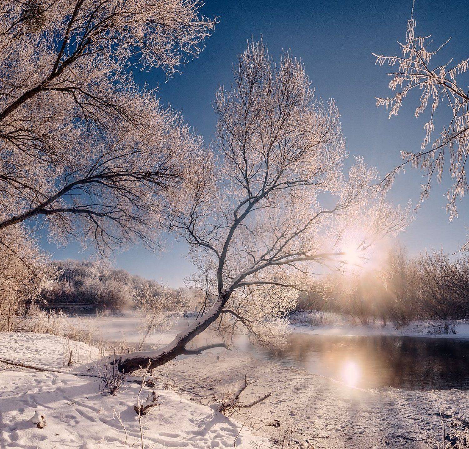 украина, коростышев, река, тетерев, берег, зима, иней,, Александр Чорный