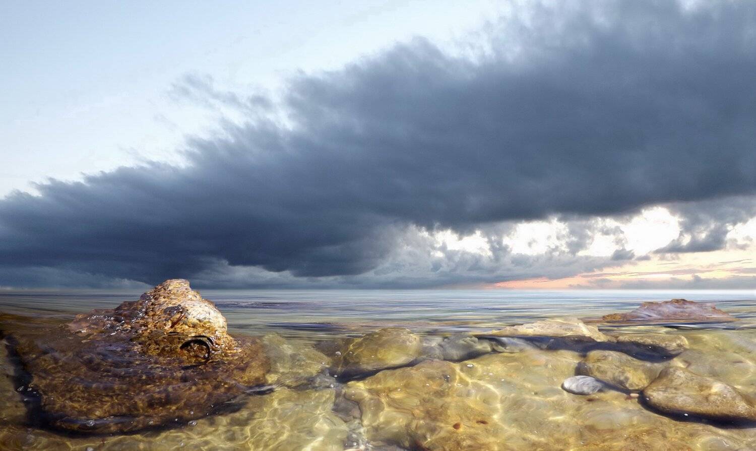 одесса, Сергей Кошелев